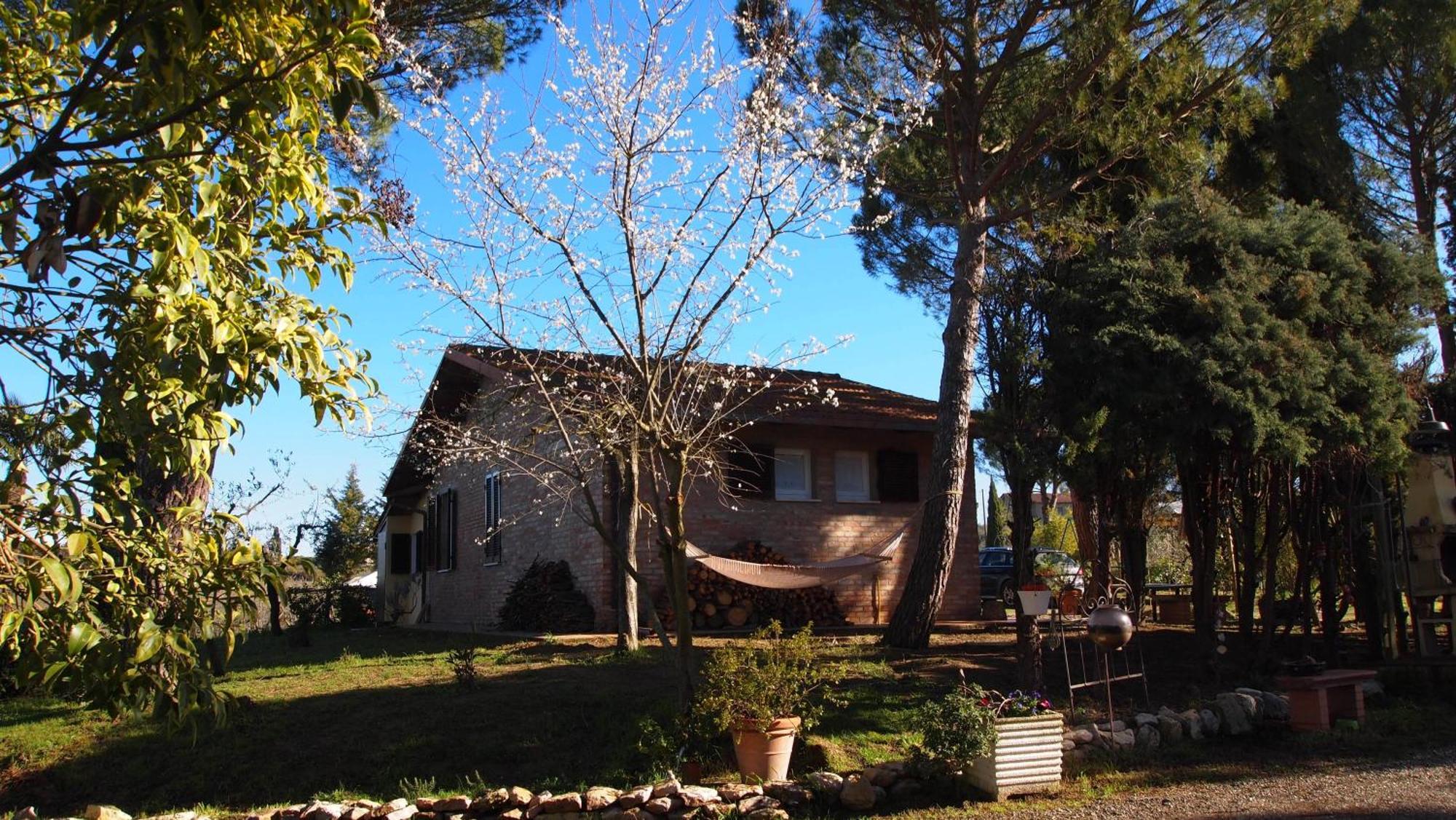 Agriturismo La Terra Valiano Экстерьер фото