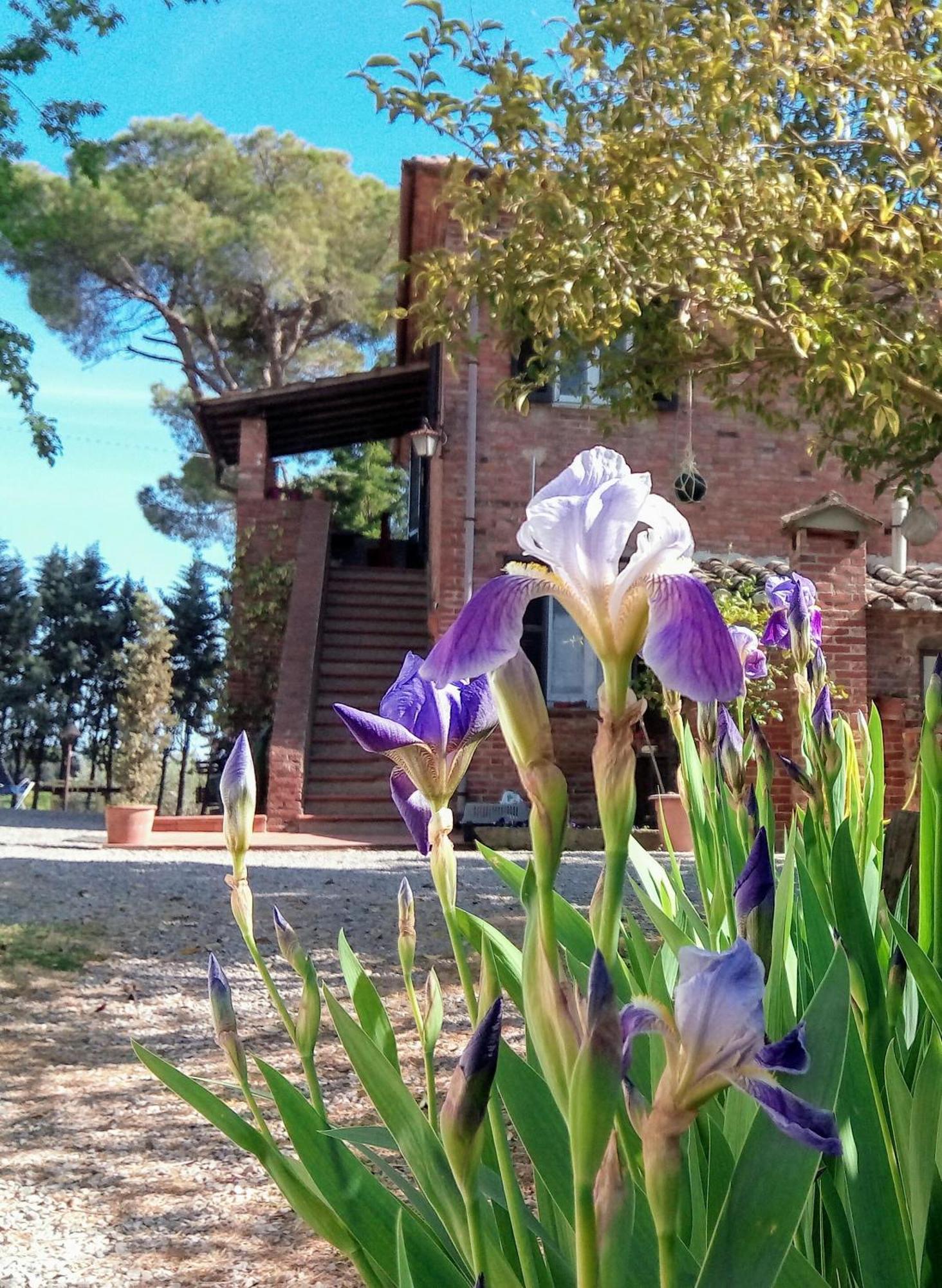 Agriturismo La Terra Valiano Экстерьер фото