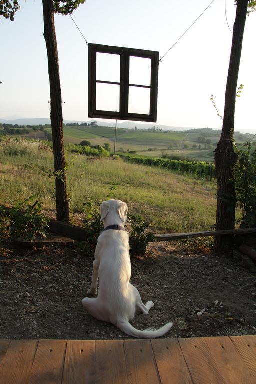 Agriturismo La Terra Valiano Экстерьер фото